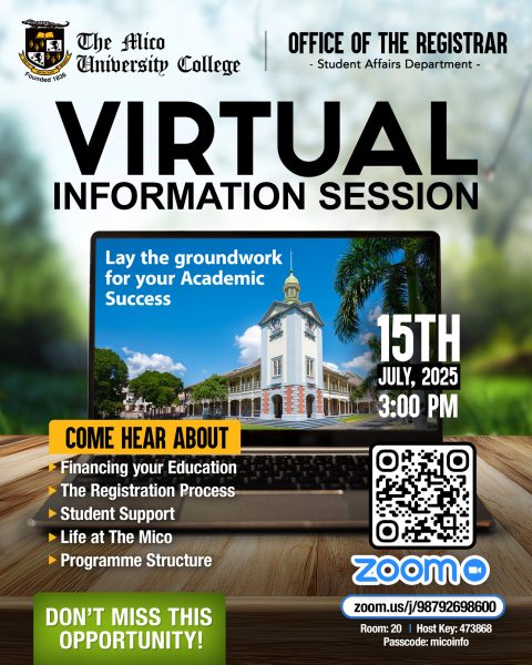 VIRTUAL-INFO-AD-03 VIRTUAL-INFO-AD-03